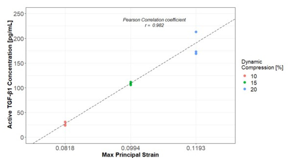 Figure 3: Linear regression analysis between the experimental values of active TGF-β1 and FE-predicted maximum principal strain. Pearson coefficient, r=0.982.